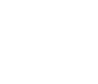Stryker Leap